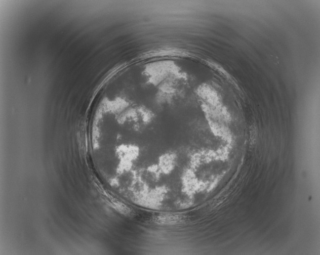 X0000082741274200702161924