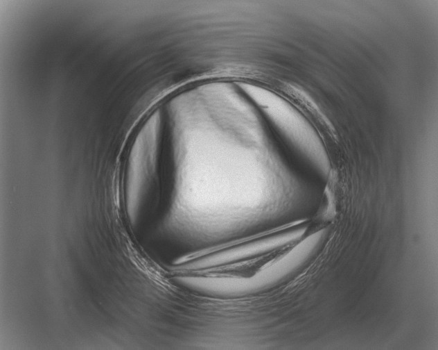 X0000082741276200702161924