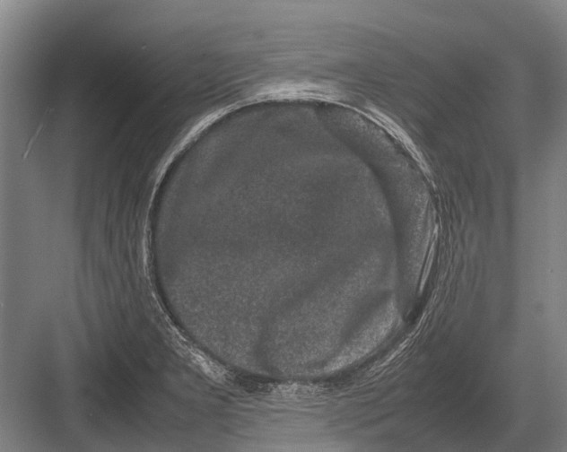 X0000082741277200702161924