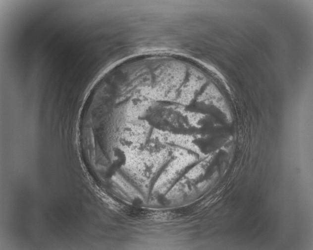 X0000082741279200702161923