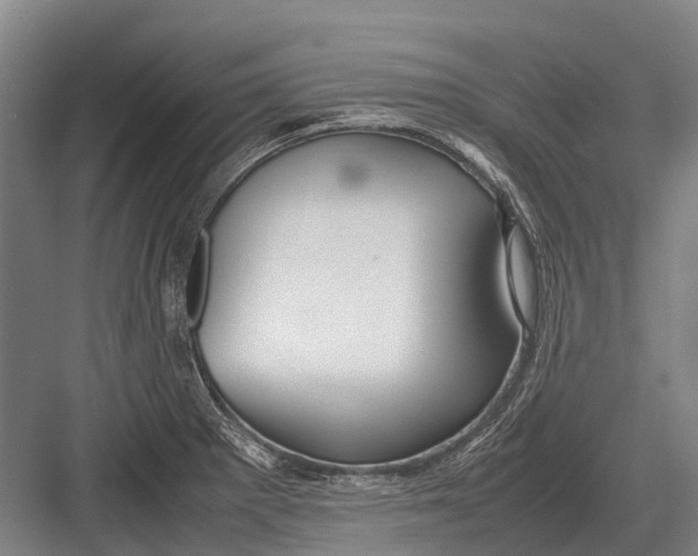 X0000082741281200702161923