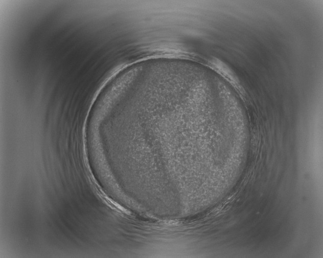 X0000082741283200702161923