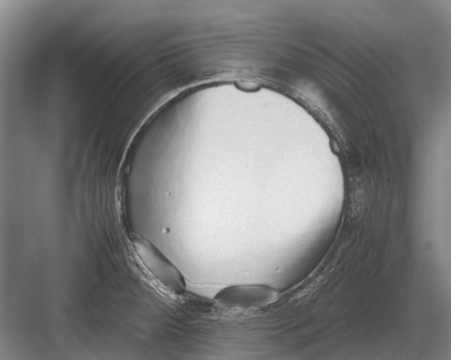 X0000082741284200702161923