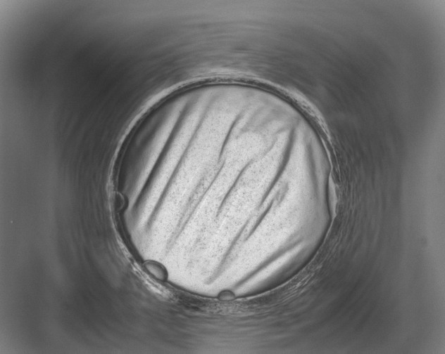 X0000082741287200702161923