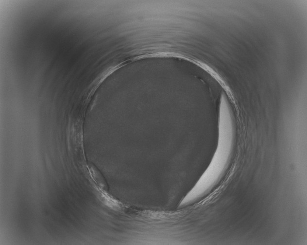 X0000082741289200702161923