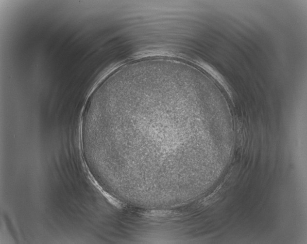 X0000082741290200702161923