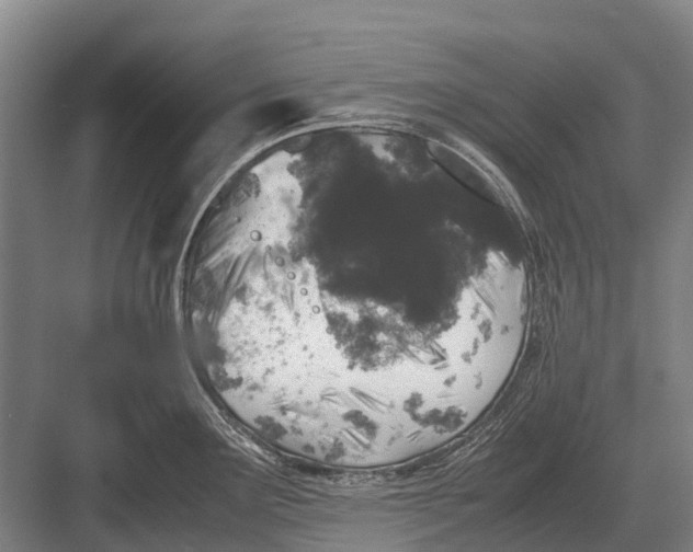 X0000082741291200702161923