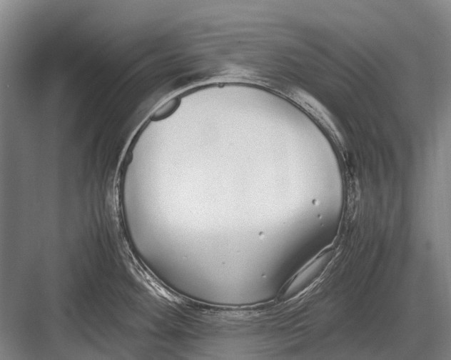 X0000082741292200702161923