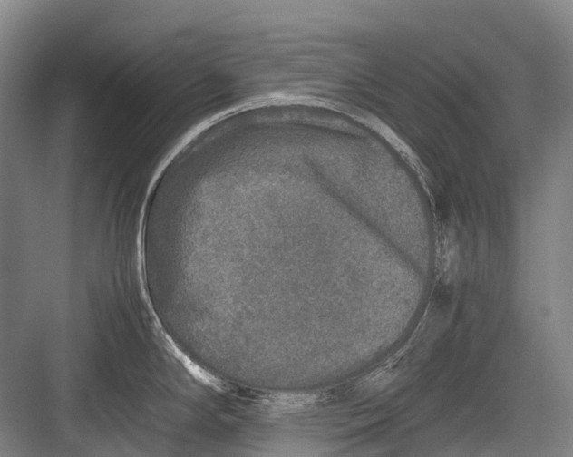 X0000082741294200702161923