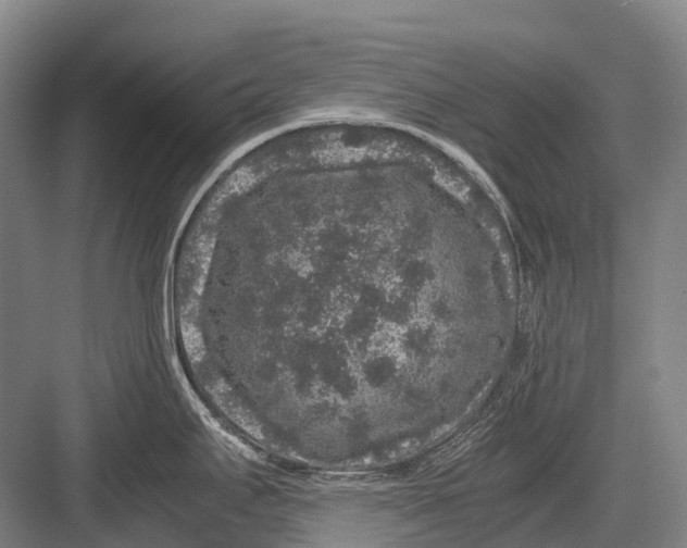 X0000082741295200702161923