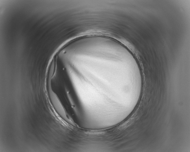 X0000082741296200702161923