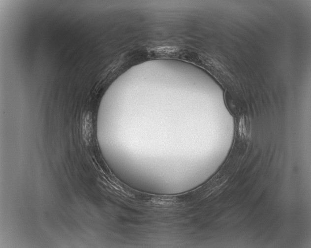 X0000082741299200702161922