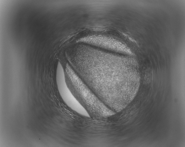 X0000082741301200702161922