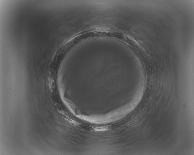 X0000082741303200702161922