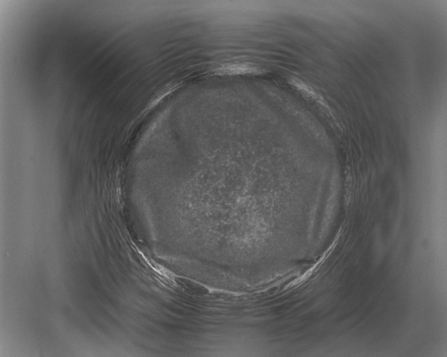 X0000082741305200702161923