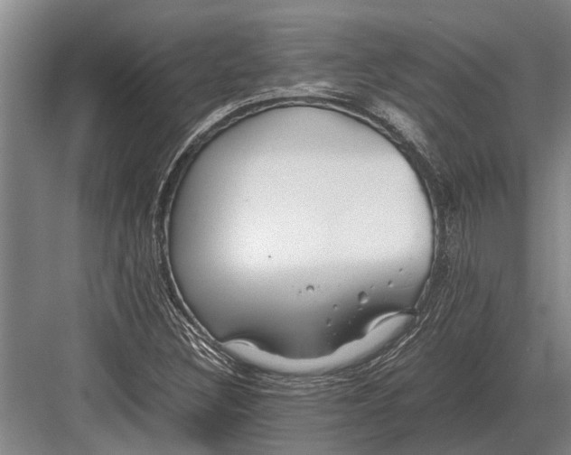 X0000082741308200702161923