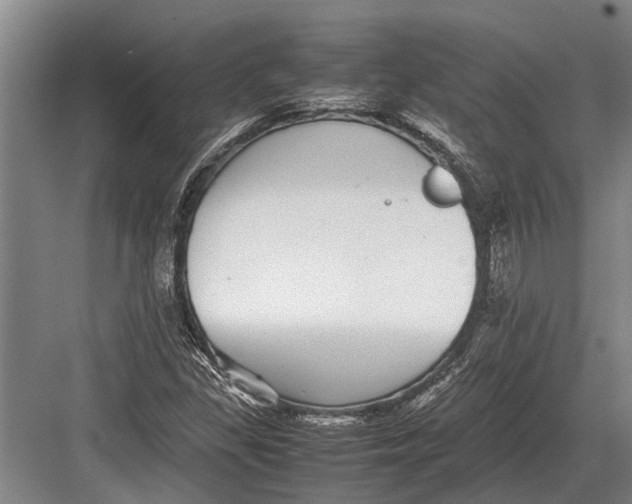 X0000082741309200702161923