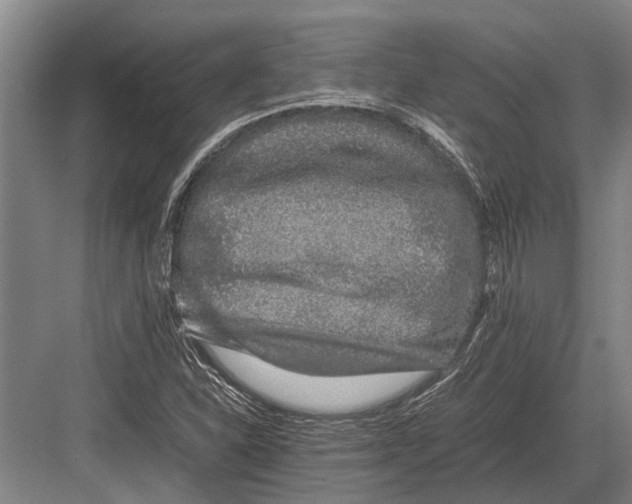 X0000082741310200702161923