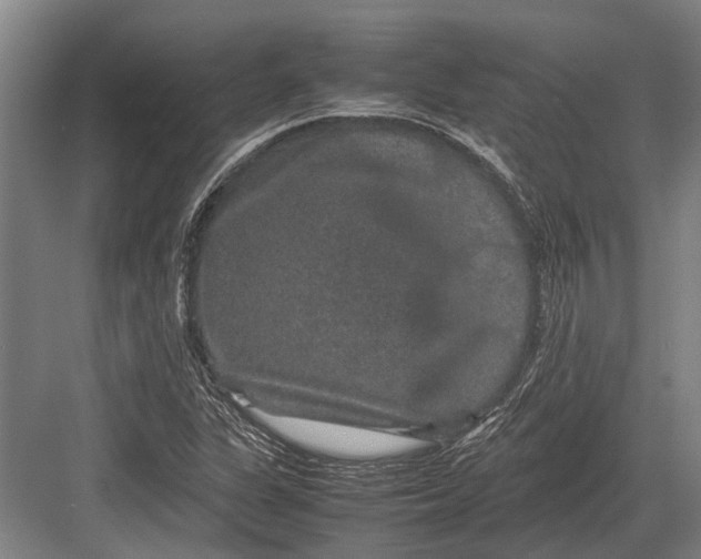 X0000082741311200702161923