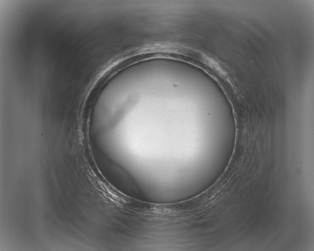 X0000082741312200702161923