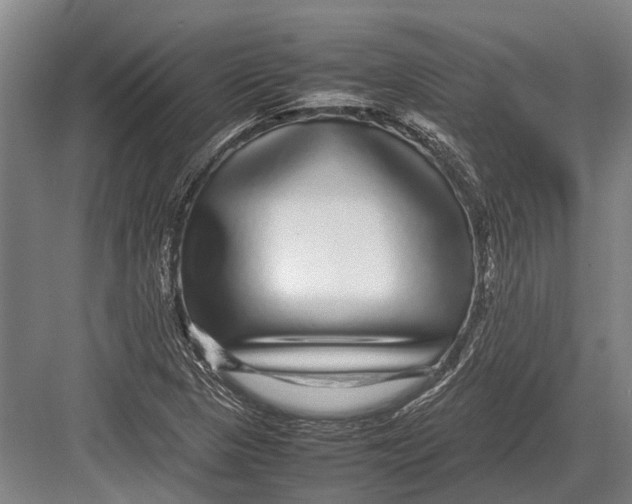 X0000082741313200702161923