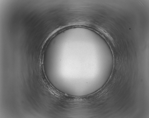 X0000082741316200702161923