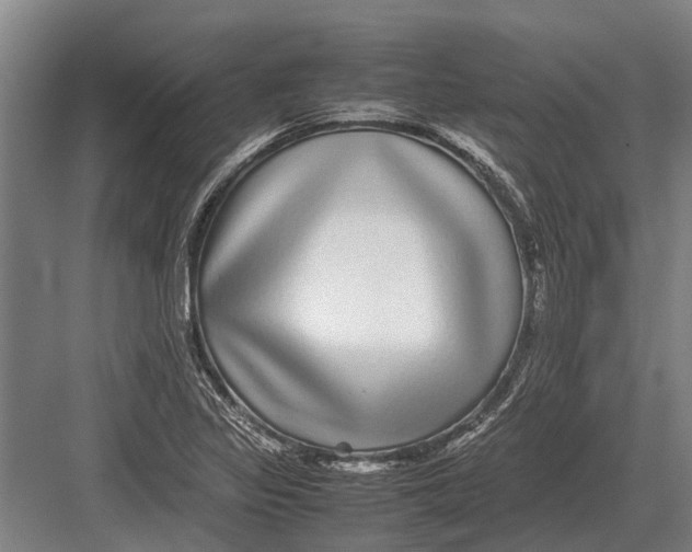 X0000082741317200702161923