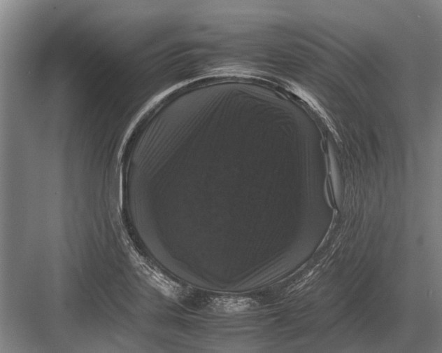 X0000082741323200702161923