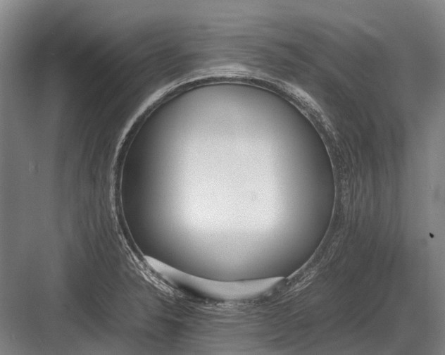 X0000082741326200702161923