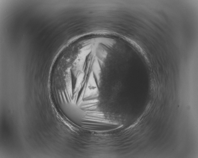 X0000082741327200702161923