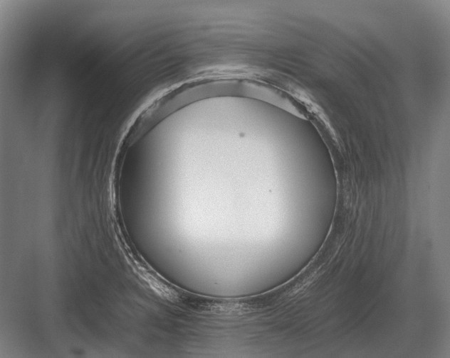 X0000082741328200702161923