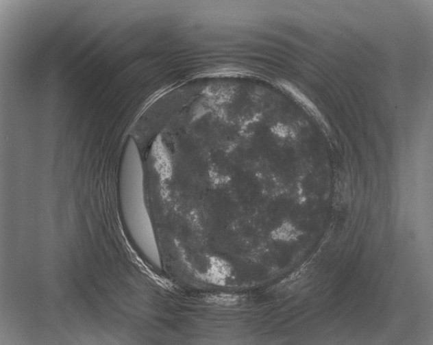 X0000082741329200702161923