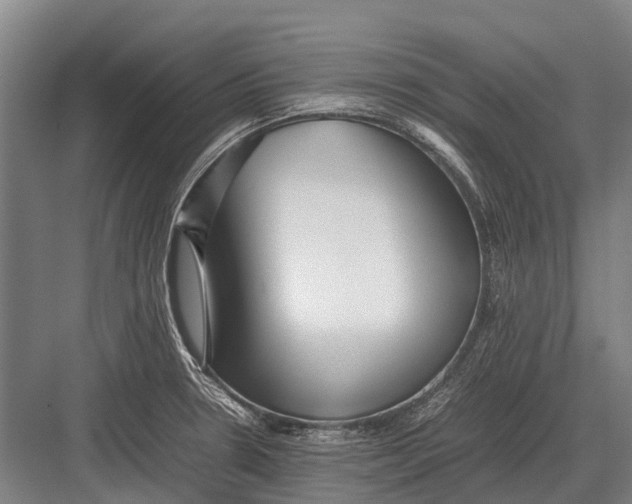 X0000082741330200702161923