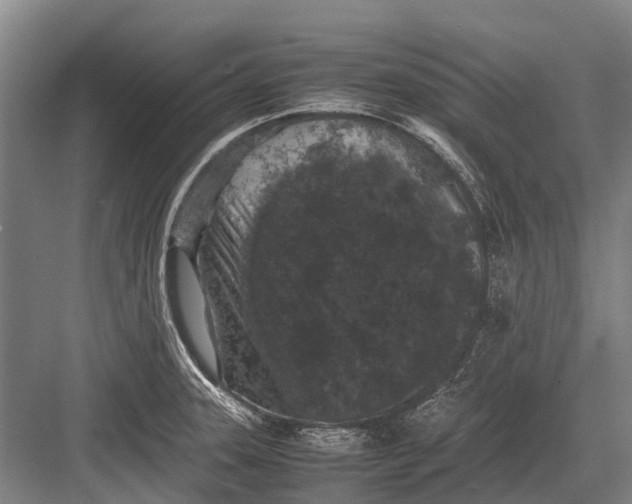 X0000082741331200702161923