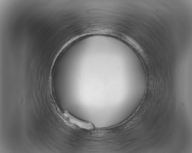 X0000082741332200702161923