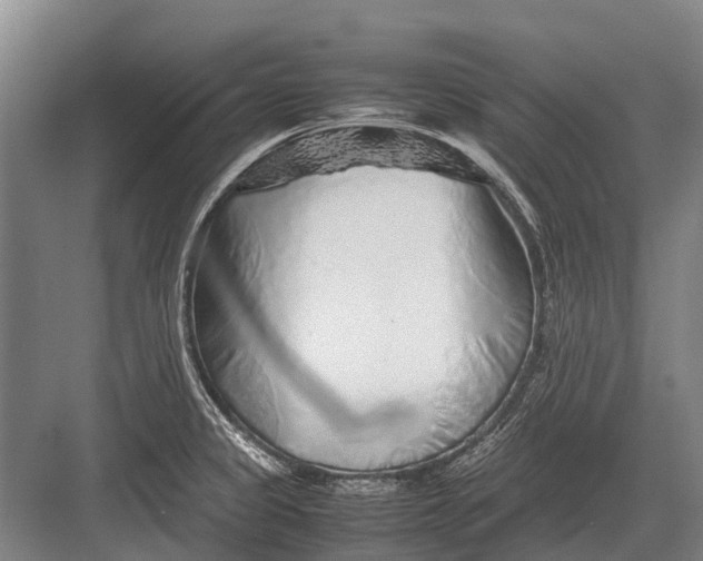 X0000082741333200702161923