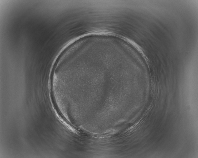 X0000082741335200702161923