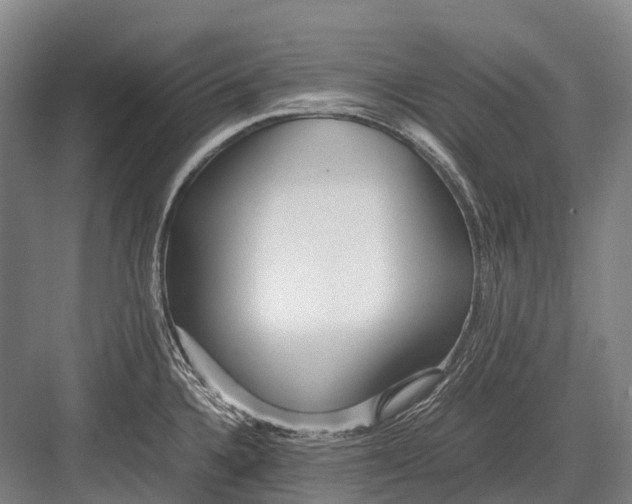 X0000082741336200702161923