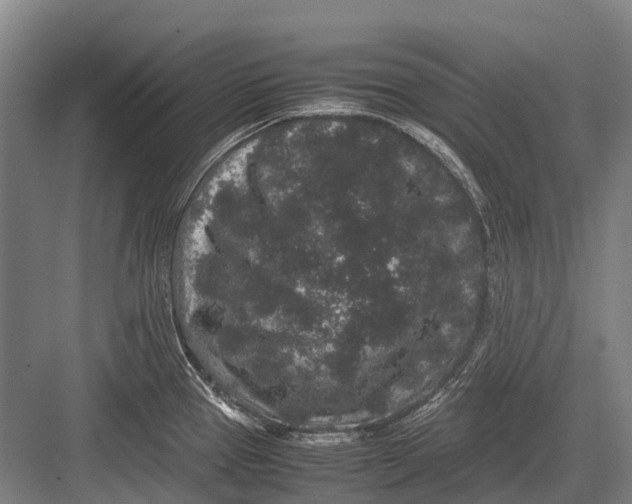 X0000082741337200702161923