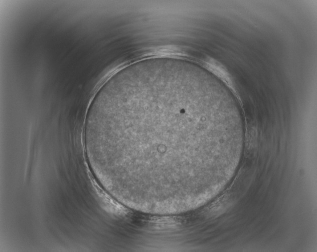 X0000082741338200702161923