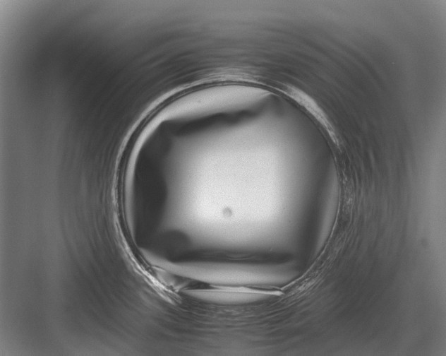 X0000082741339200702161923