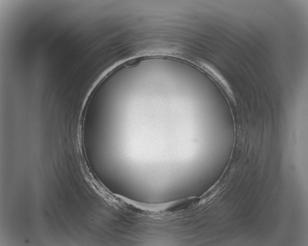 X0000082741340200702161923