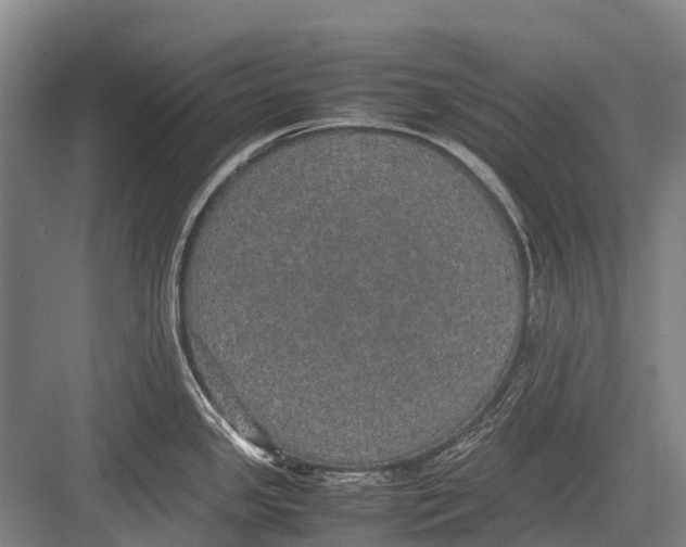 X0000082741341200702161923