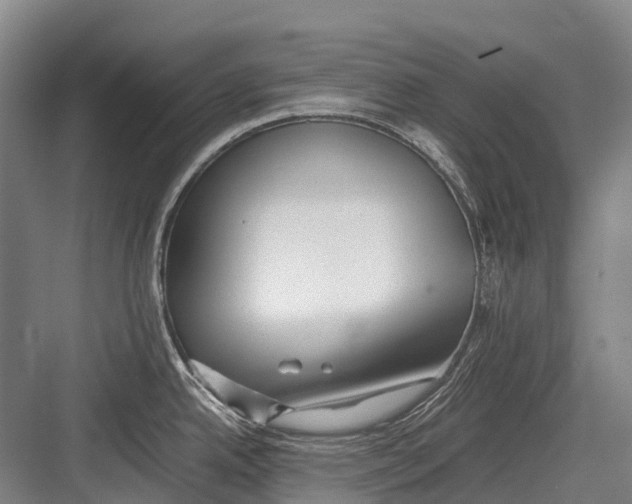 X0000082741342200702161923