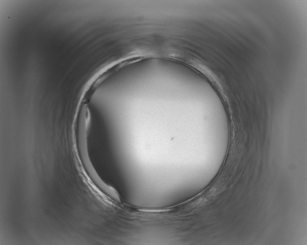 X0000082741344200702161923