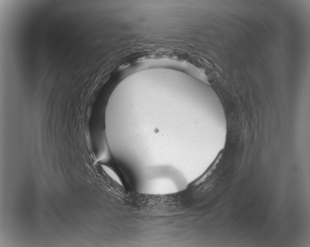 X0000082741345200702161922