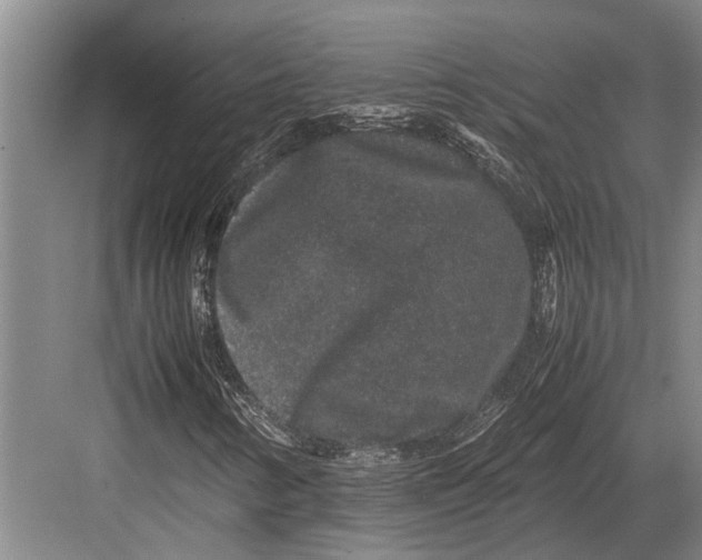 X0000082741346200702161922