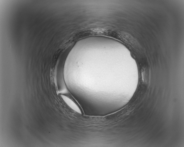 X0000082741347200702161922