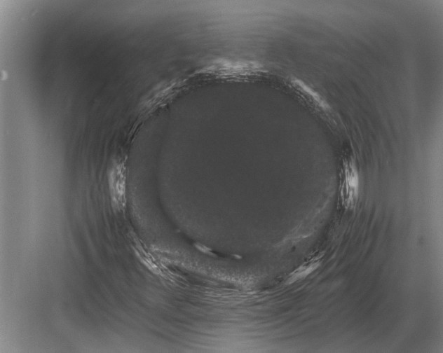 X0000082741348200702161922