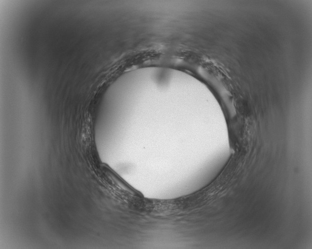 X0000082741349200702161922